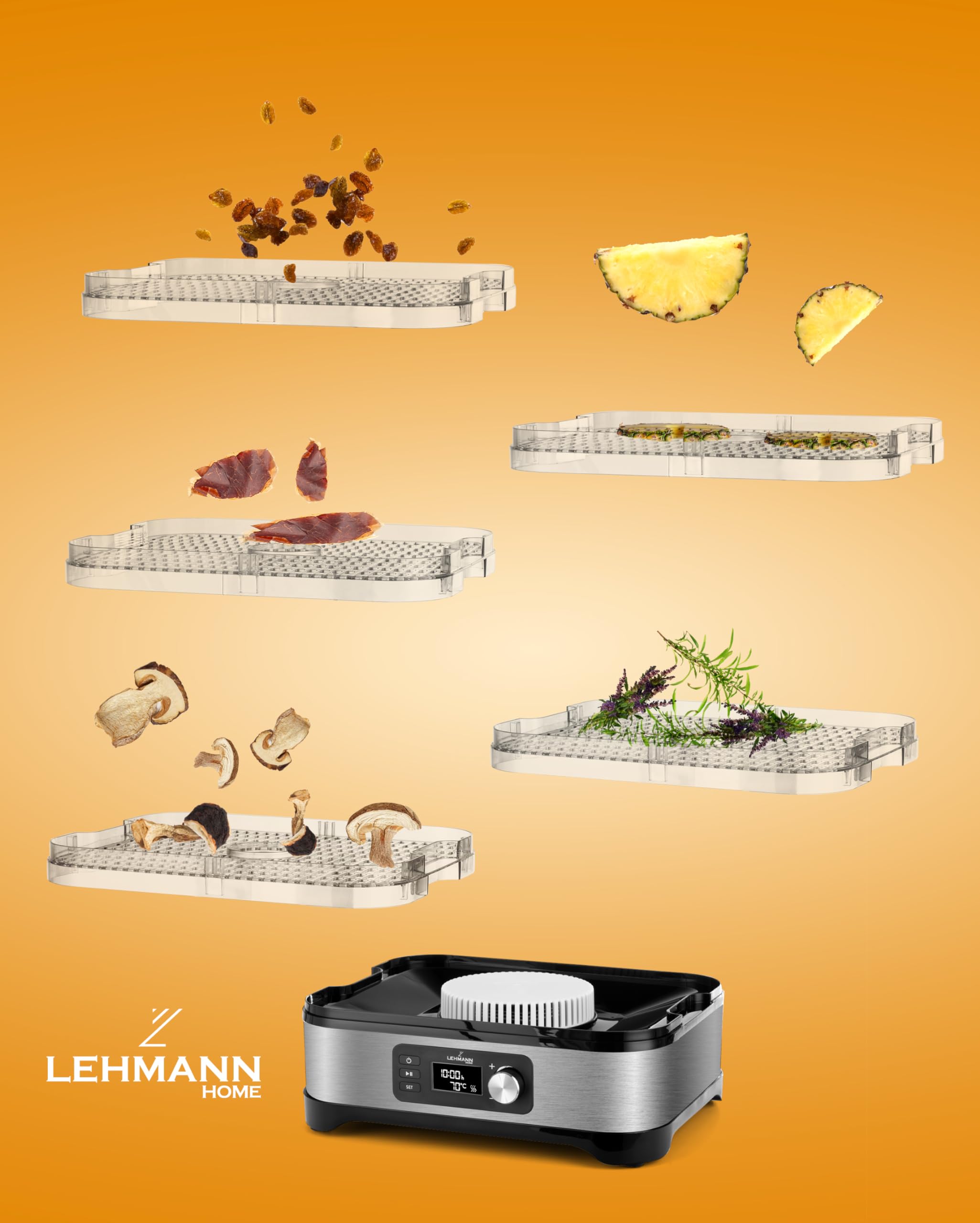 Lehmann LHOFD-4525 Roestvrijstalen droger 450 W, 5 niveaus voedseldroger met temperatuurregeling 35-70 °C, droger voor fruit, champignons, vlees, kruiden, BPA-vrij