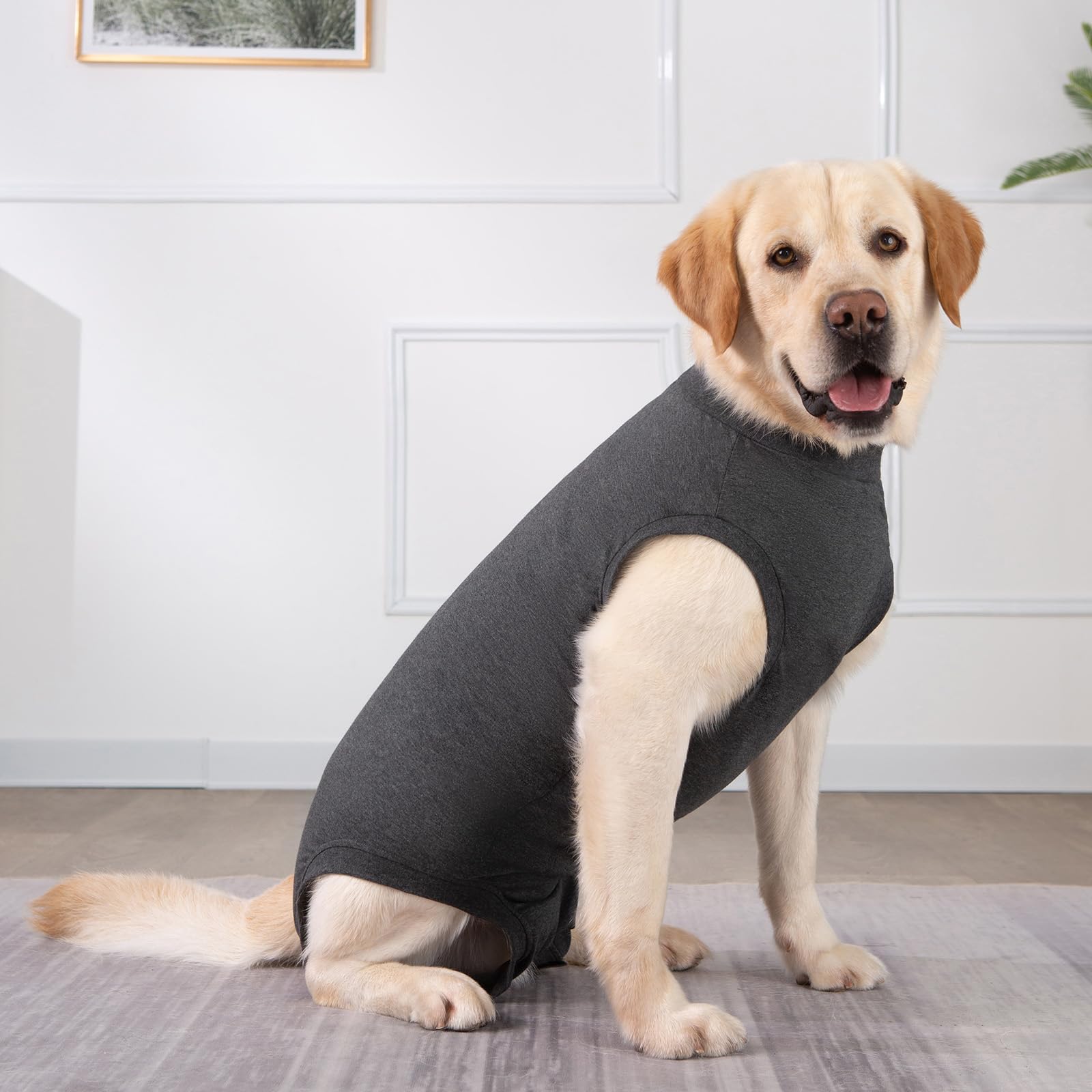 Body per Cani Dopo Op con Protezione Anti-Perdita, Body Chirurgico per Cani, Cane Castrato, Femmina o Maschio, Maglietta Medica per Cani, Tuta con Chiusura a Velcro, Alternative a Coni e