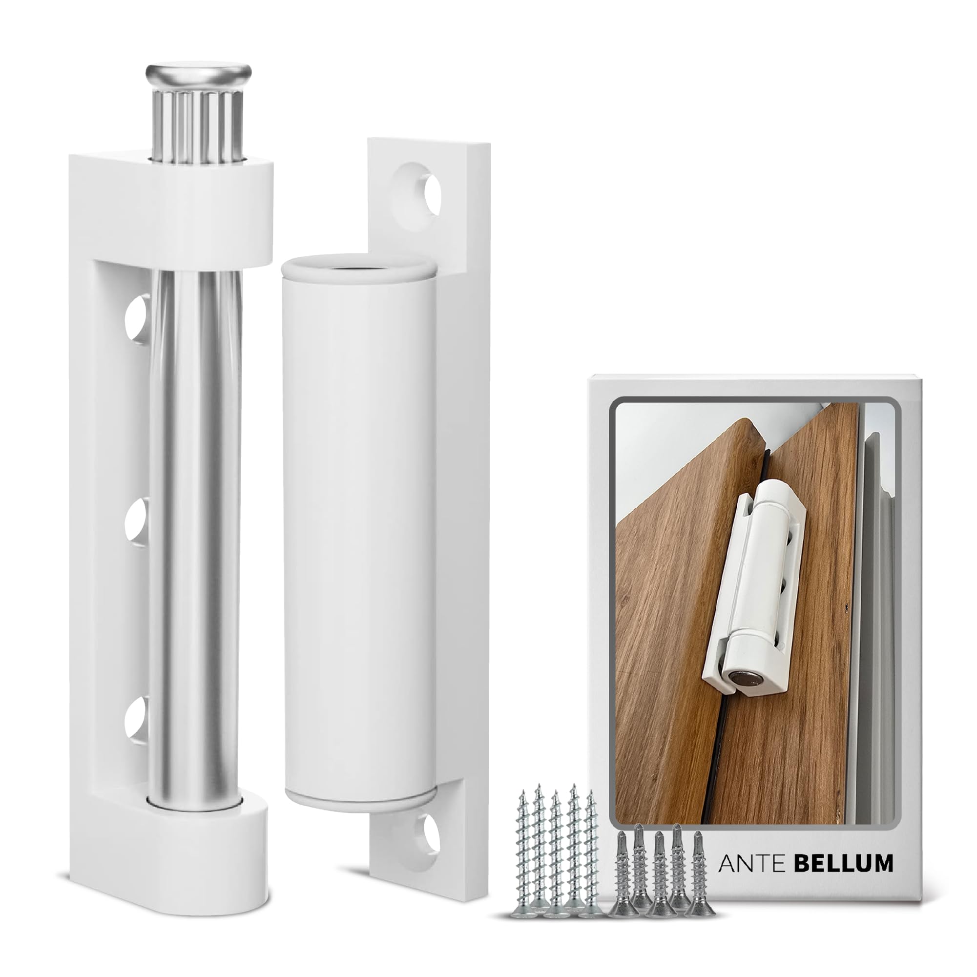 Charnières de porte et fenêtre blanches en lot de 10 pour rénovation