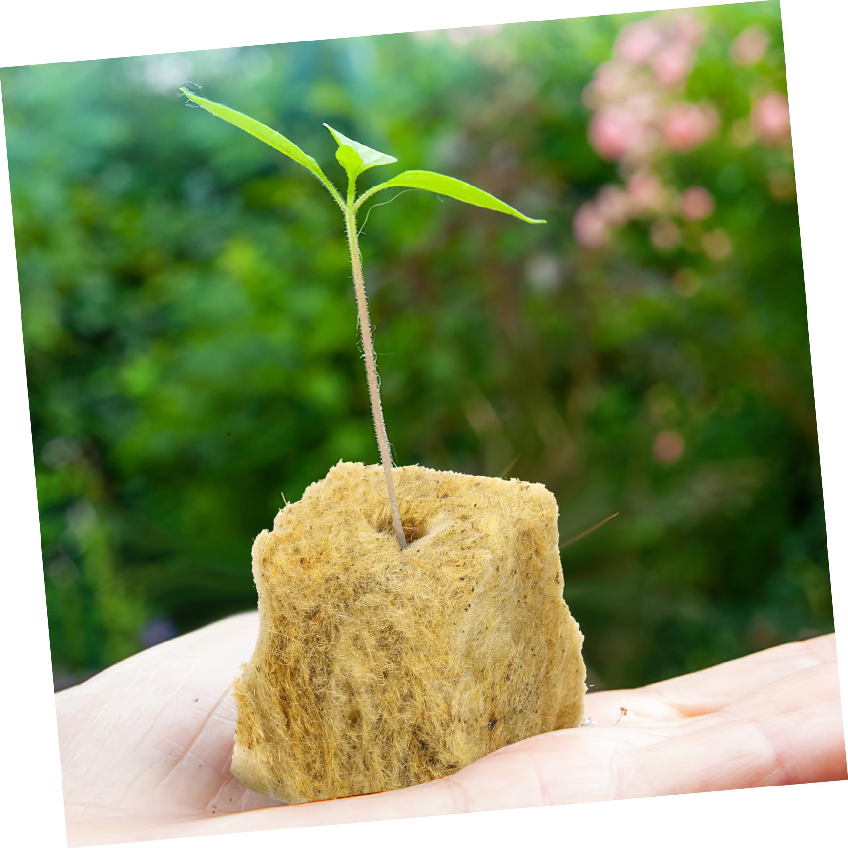 BESPORTBLE 4 Ensembles Substrat De Racine Départ Plantation Croissance Bloc De Terre pour Propagation De Plantes Cubes pour La Propagation des Plantes 100 Pièces * 4