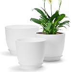 16Pcs Plastic Plant Pots with Drainage Holes & Tray 4in Indoor Flowers Pots | Thickened Planters Seedlings Nursery Pots for Flowers, African Violet, Succulent and All House Plants, Green