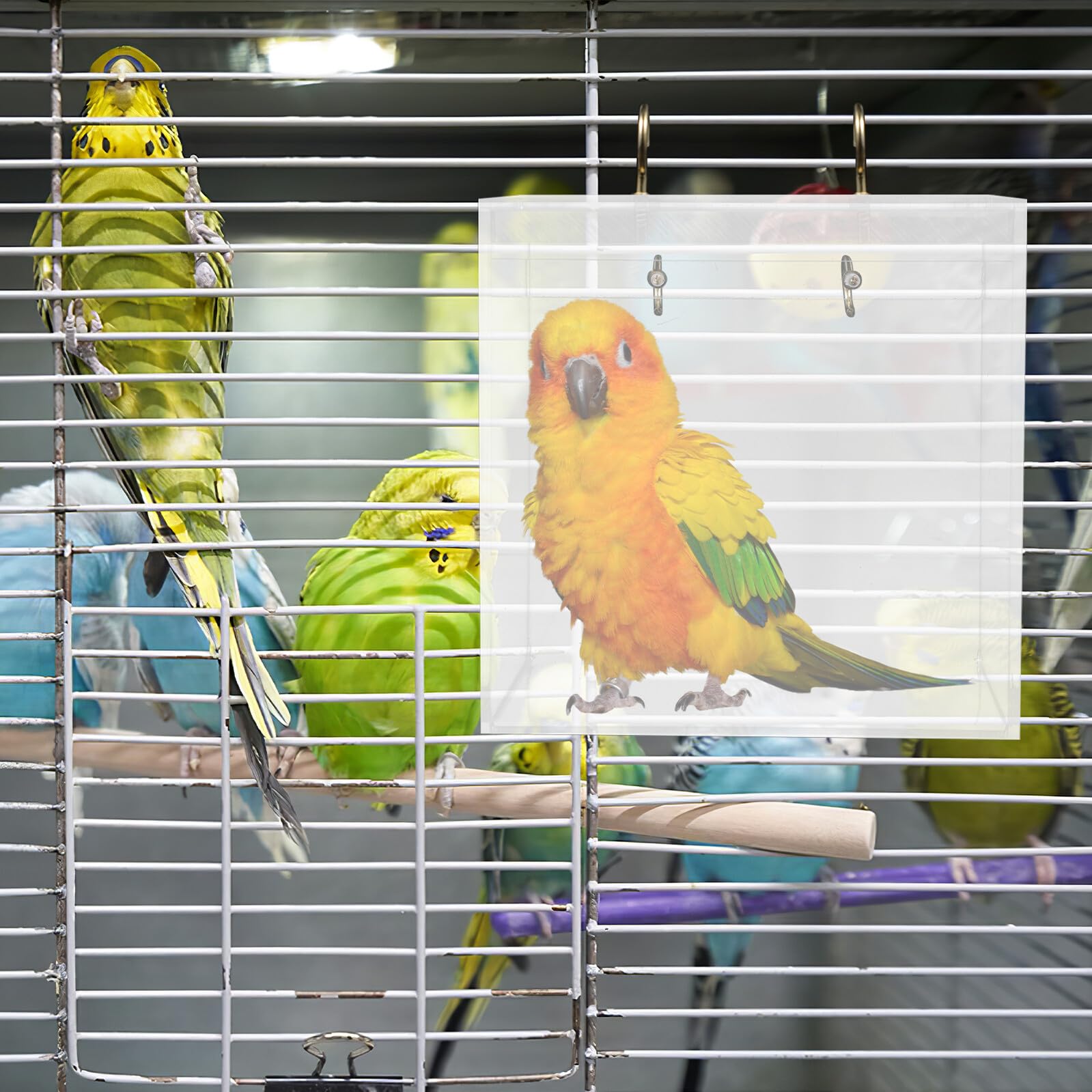Vogelbad Acryl Klein zum Aufhängen Vogeltränke für Käfig Parrot Wellensittich Badebox Stresslösend und Leicht zu Reinigen Geeignet für Kanarienvögel und Kleine Vögel