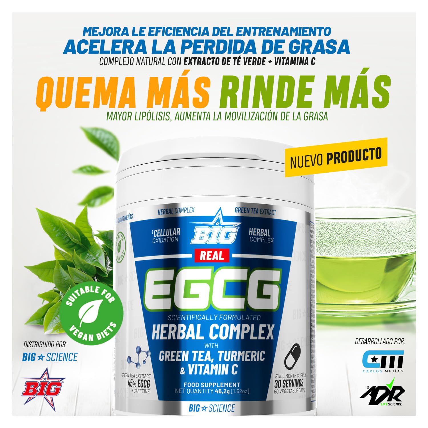 BIG - Real EGCG - Extracto de Té Verde para Adelgazar - Cápsulas de Green Tea Naturales - Alta Concentración de EGCG - Antioxidante y Quema Grasa - Materia Prima Premium - Vegano, Alta Pureza (60 Cáp)