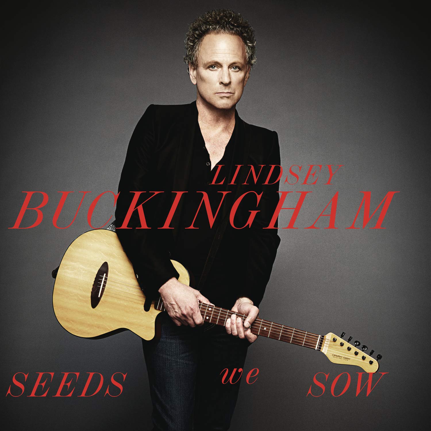 Lindsey Buckingham - Seeds We Sow
