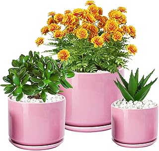 EFISPSS Ceramic Plant Pots, 4.2+5.2+6.2 inch, White Round Ceramic Planters Set of 3 Succulent Planters with Drainage Tray...