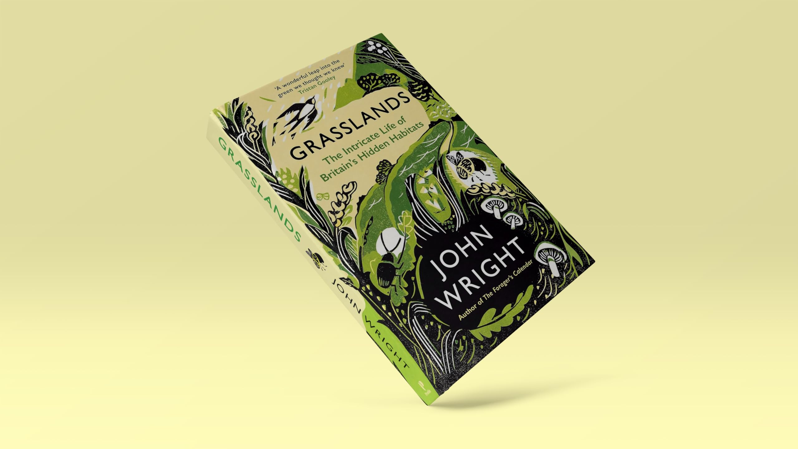 Grasslands: The Intricate Life of Britain's Hidden Habitats