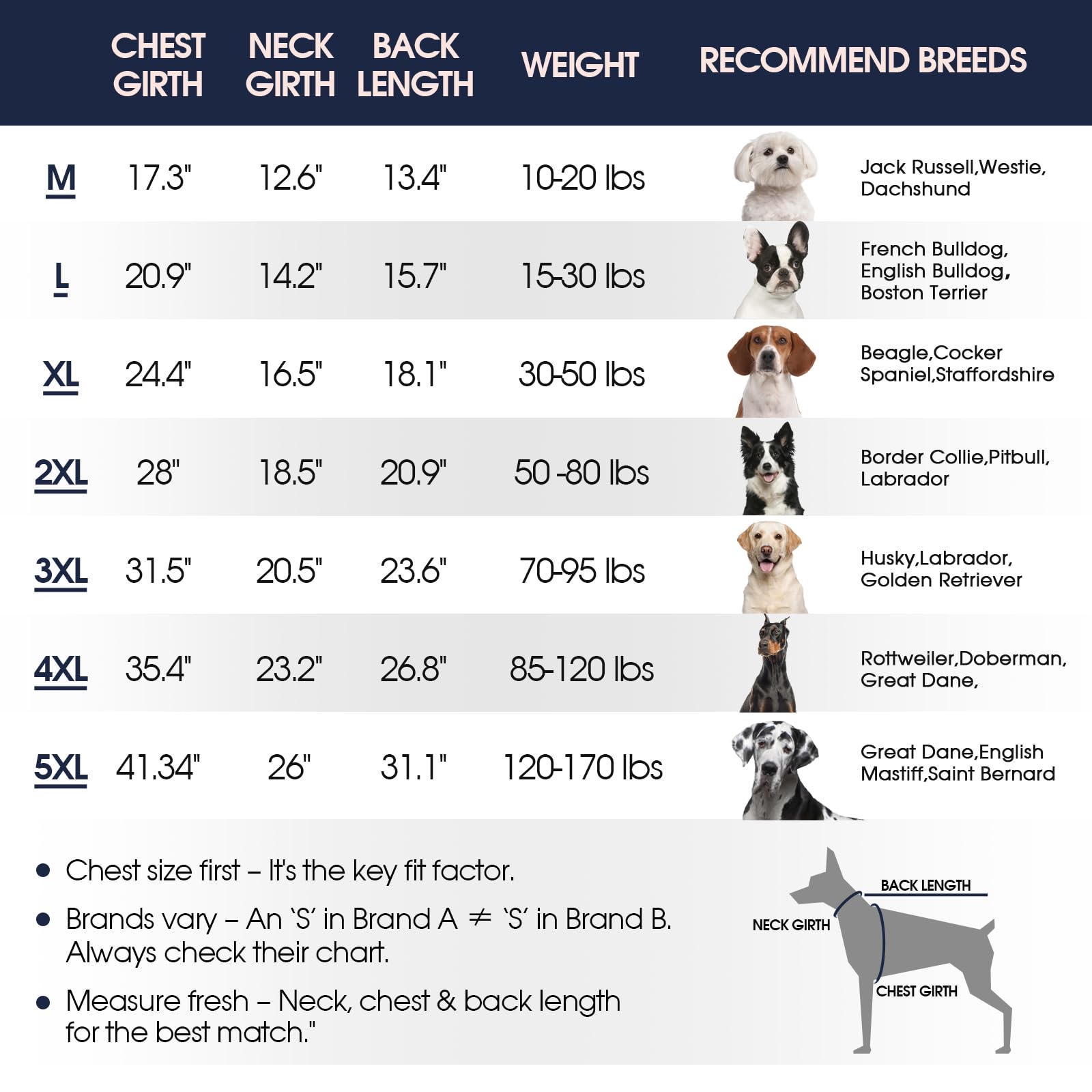 IECOii Lot de 2 pulls à col roulé confortable pour petit chien fille et garçon, chandail en tricot torsadé avec trou pour laisse, pull extensible et doux pour teckel, bordeaux et gris, taille M