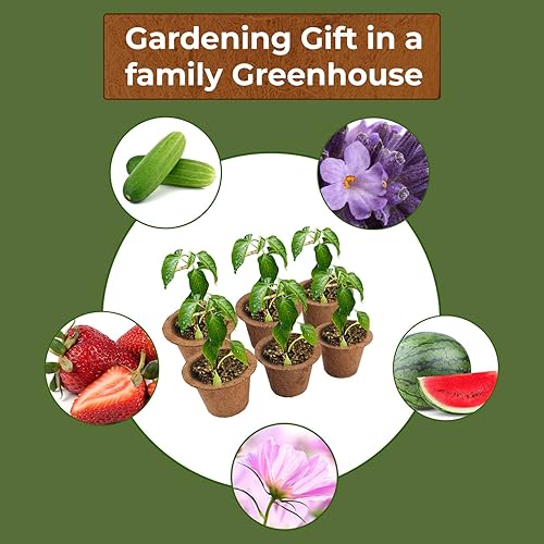 Miniatura 6 de UBICON Macetas de primera calidad para principiantes, 100% naturales, resistentes y transpirables, aptas para trasplantes para un crecimiento