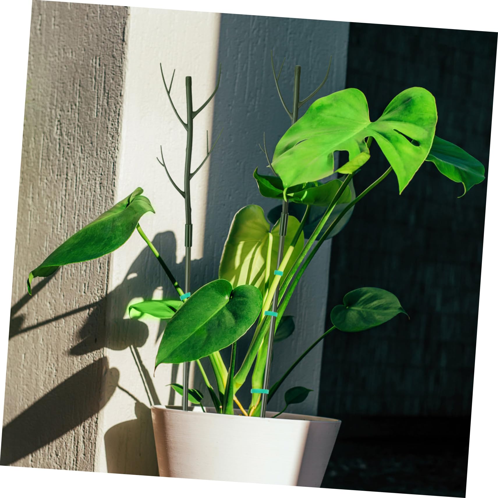 POPETPOP Lot de Supports pour Plantes Grimpantes, Tuteurs Verts en Plastique, Clips à Fleurs et Liens, pour Jardin et Intérieur