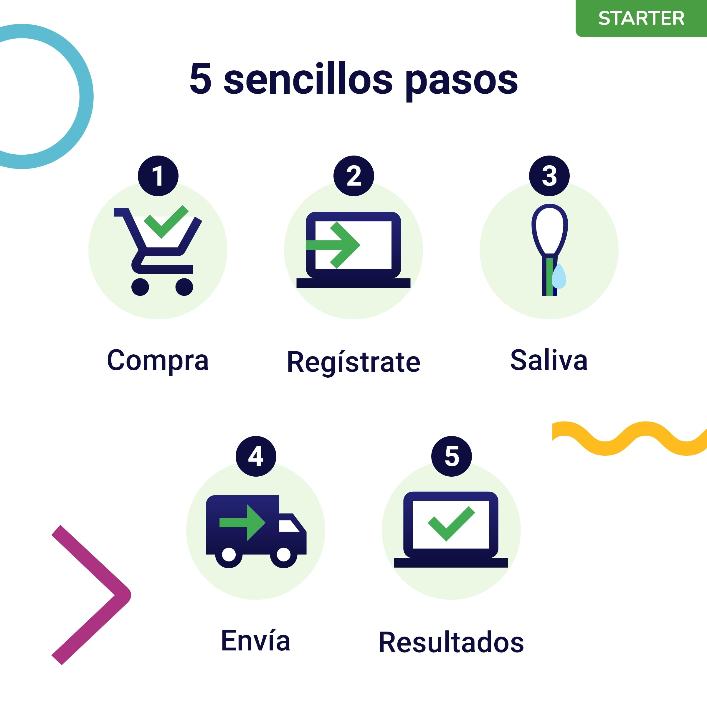 Koko Genetics - Test ADN para Perros Starter (Reportes de Razas y Rasgos) - Actualizaciones sin Coste.