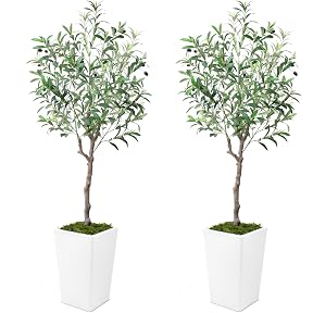 Artificial Olive Tree 6FT, Indoor Fake Silk Plant with Realistic Trunk, Leaves, Fruits and White Planter, Faux Potted Tree for Home Decor and Housewarming Gift, 2 Pack