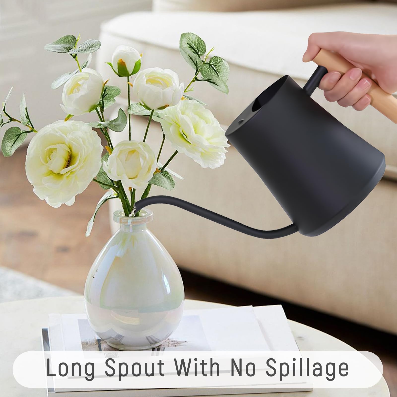 Mini Plant Gieter, 1L Grote Capaciteit Roestvrij Staal Met Lange Uitloop Vetplanten Decoratieve Tuin Bloem Gieter Voor Succulent Bonsai Tuin Bloem Buiten (Zwart