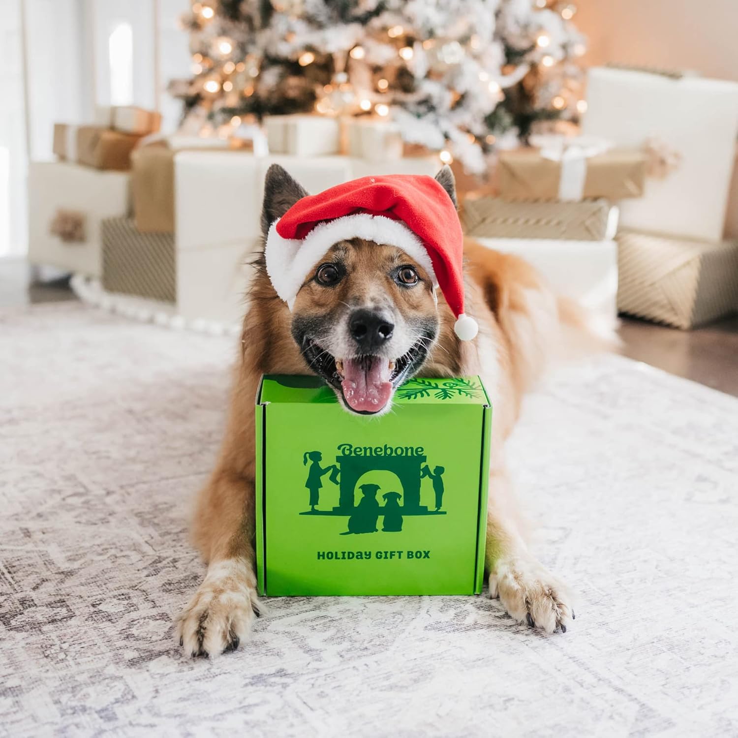 Pet Supplies : Benebone Medium Holiday 4-Pack Dog Chew Toys for Aggressive Chewers, Made in USA, 60lbs and Under : 