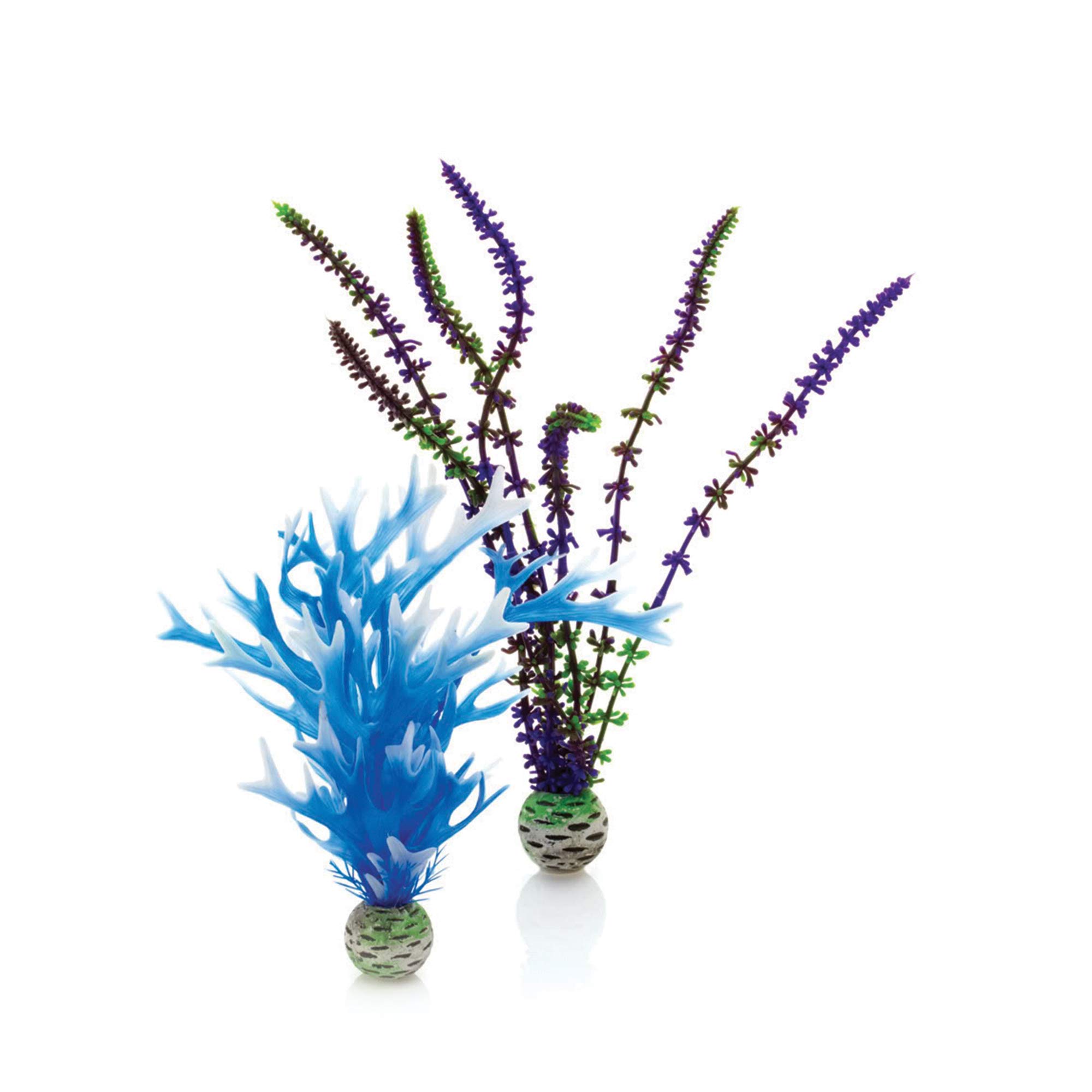 biOrb Plant Set M blue & purple