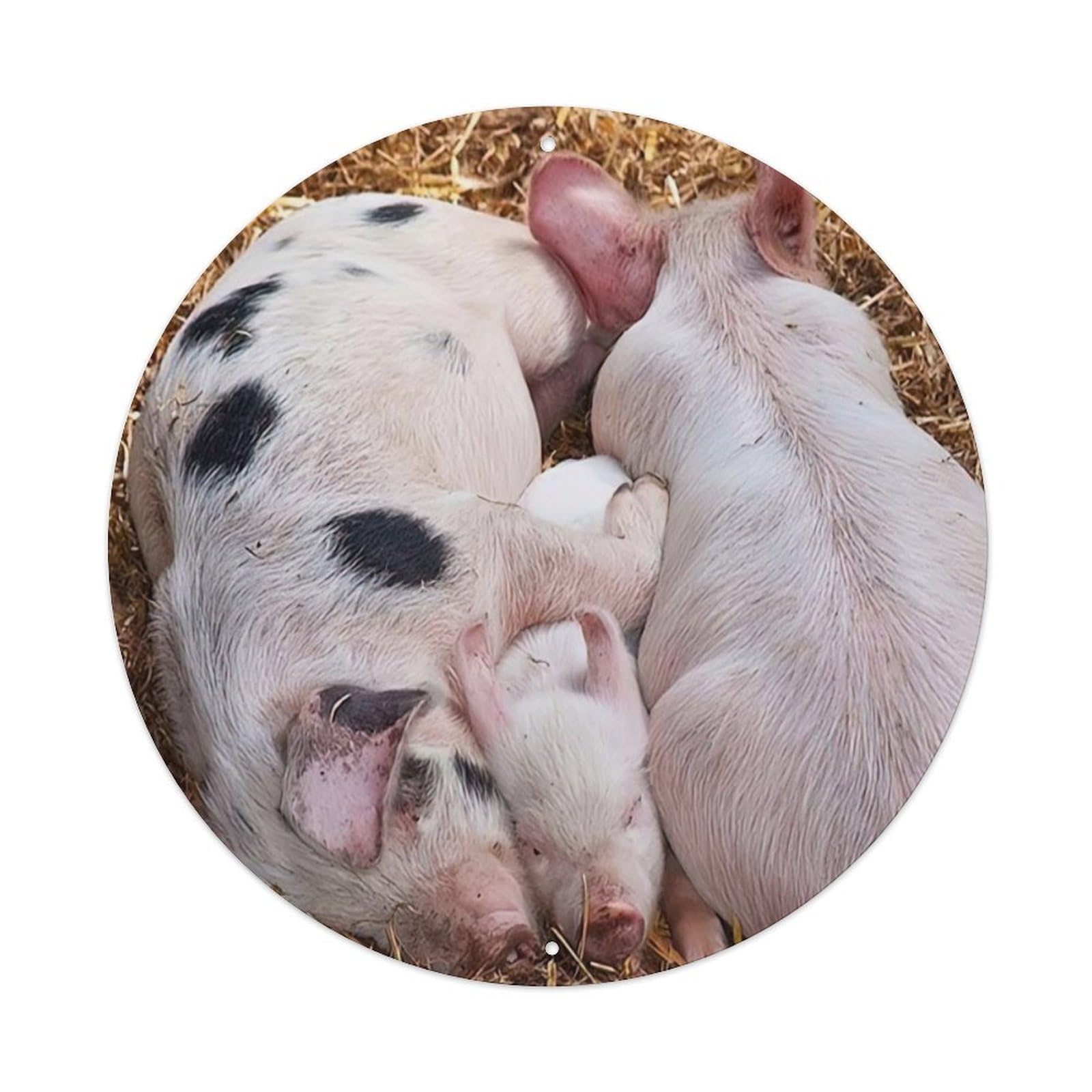Animal Sleeping Pigs Vintage Metal Tin Sign Plaque Wall Decor for Cafe, Club Bar, Office, Garden Metal Poster 8x8Inch