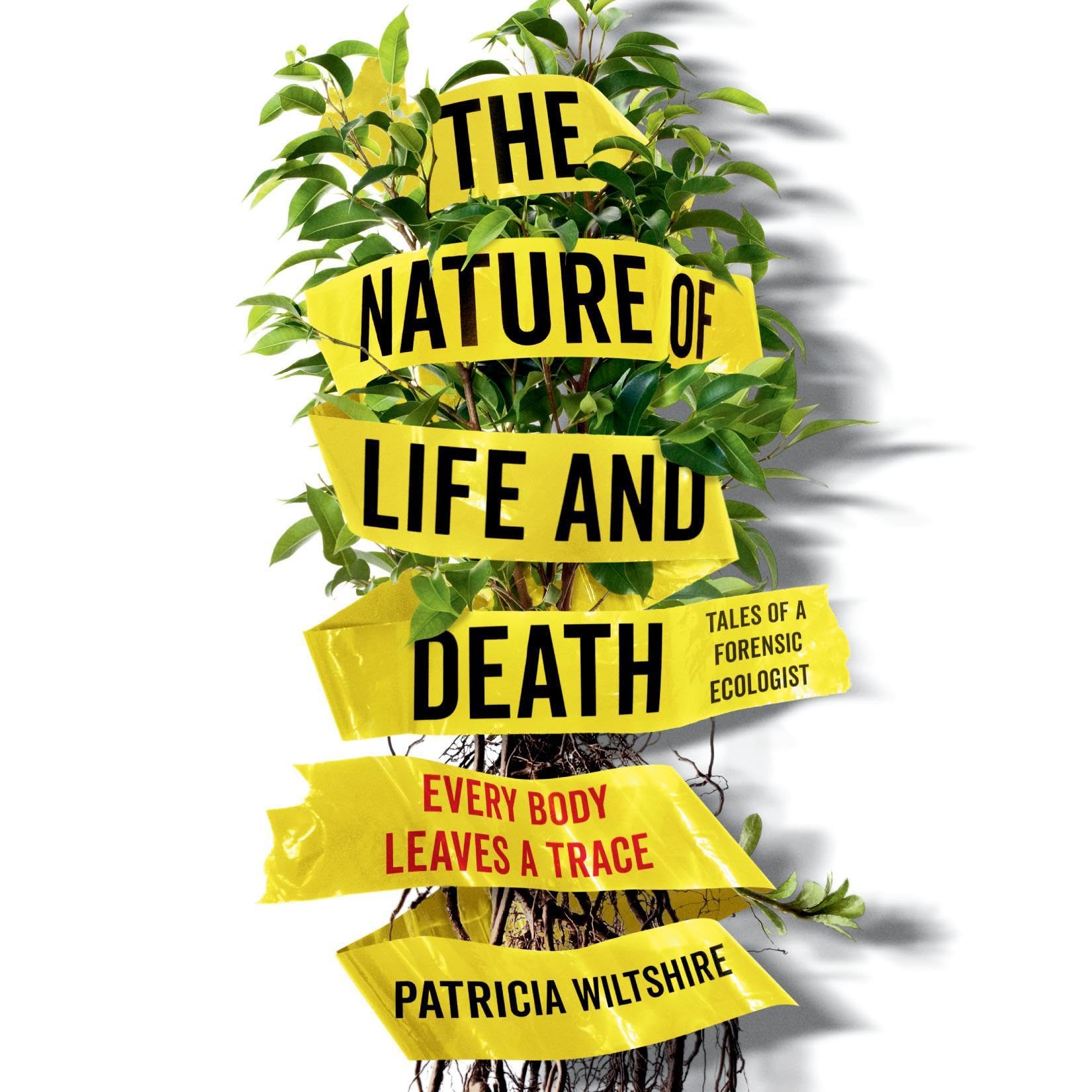 The Nature of Life and Death