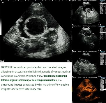 Rectal & Convex Dual-Use Probe Veterinary Ultrasound Machine for Cattle and Horse, Portable Handheld Vet Scanner for Pregnancy and Reproduction Check on Farm(One Probe, Two uses)