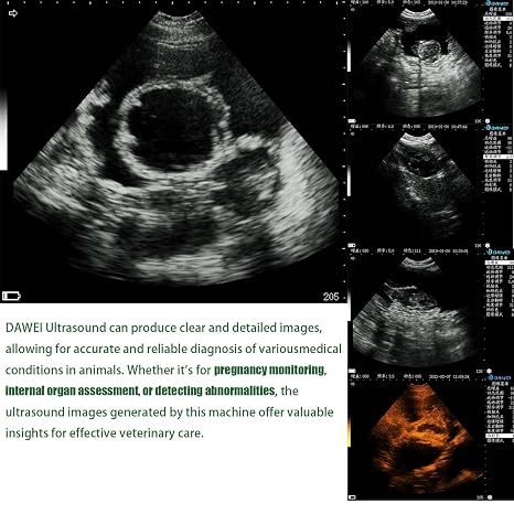 Upgraded 3.5MHz Rectal & Convex Dual-Use Probe Veterinary Ultrasound Machine for Cattle and Horse, Portable Handheld Vet Scanner for Pregnancy and Reproduction Check on Farm
