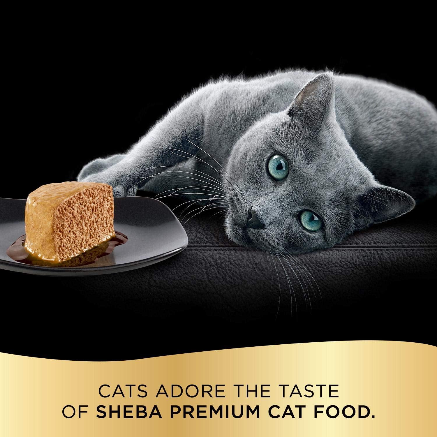 Sheba Perfect Portions Paté In Natural Juices Signature Seafood And Savory Chicken Entrée Grain Free Cat Food 2.6 Ounces (48 Twin Packs)