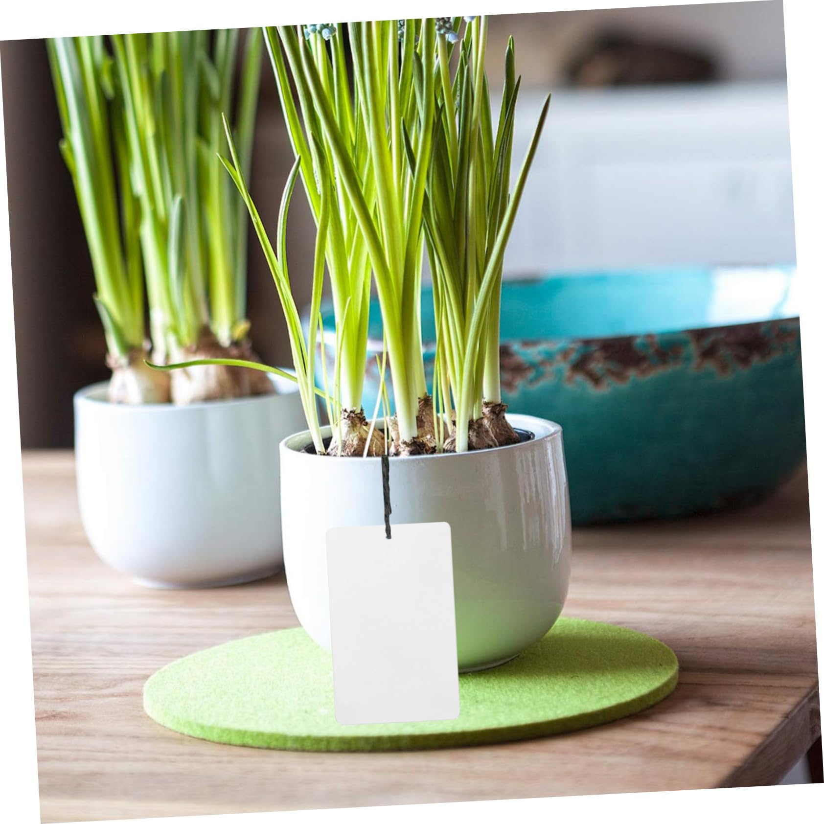 BESPORTBLE 4er-set Pflanzenzubehör: Aluminium-pflanzenetiketten Pflanzenetiketten Zur Verwendung Im Garten 50 Stück X 4