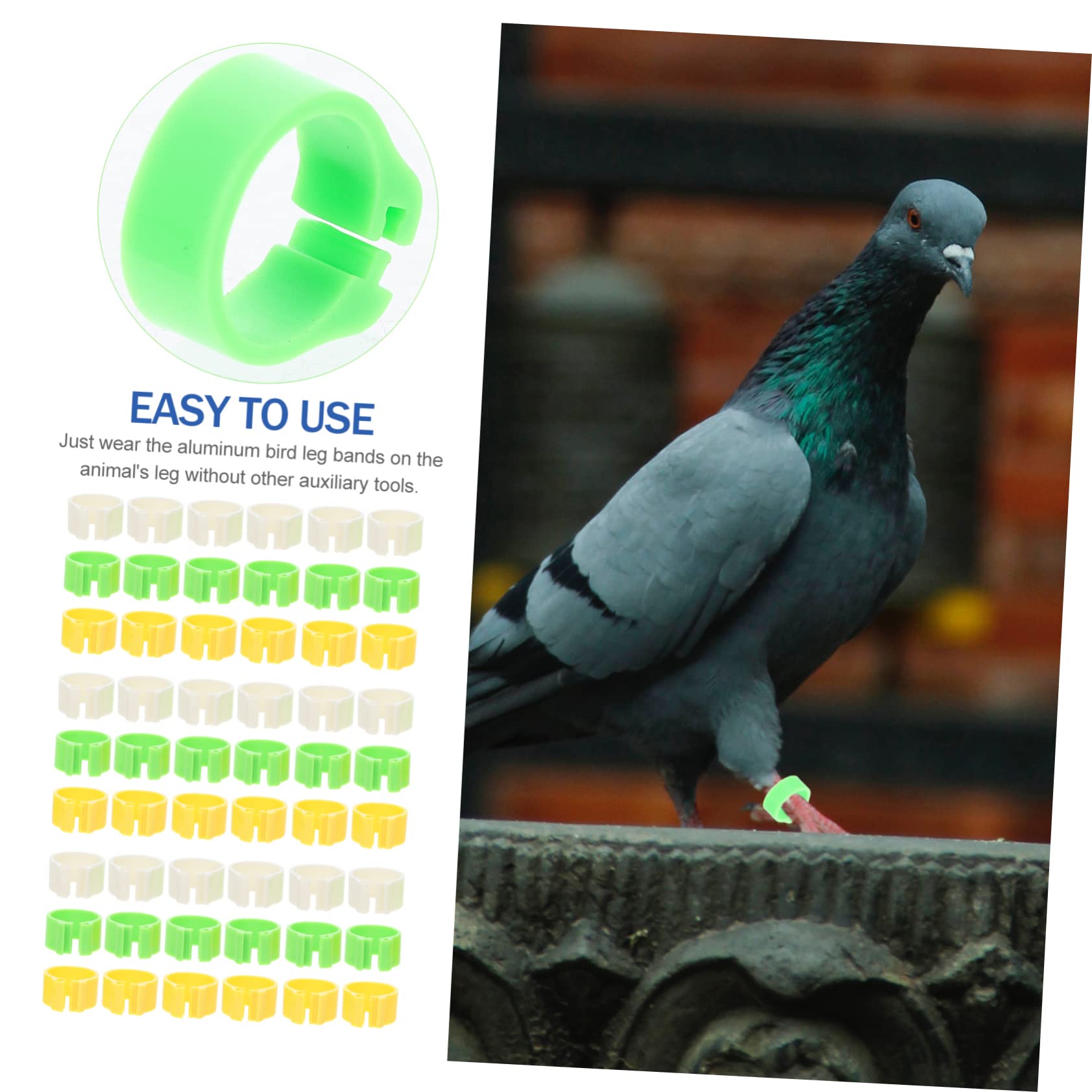 FRCOLOR 1200pezzi Fasce per Zampe di Uccelli Anelli di Classificazione per Piccioni e Pollame Leggeri e Sicuri Facili da Usare per Identificare Diverse Razze di Uccelli