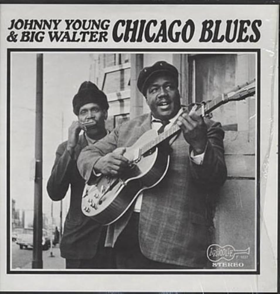 その他 Chicago Blues [DVD] マディ・ウォーターズほか：CHICAGO BLUES シカゴ・ブルースDVD