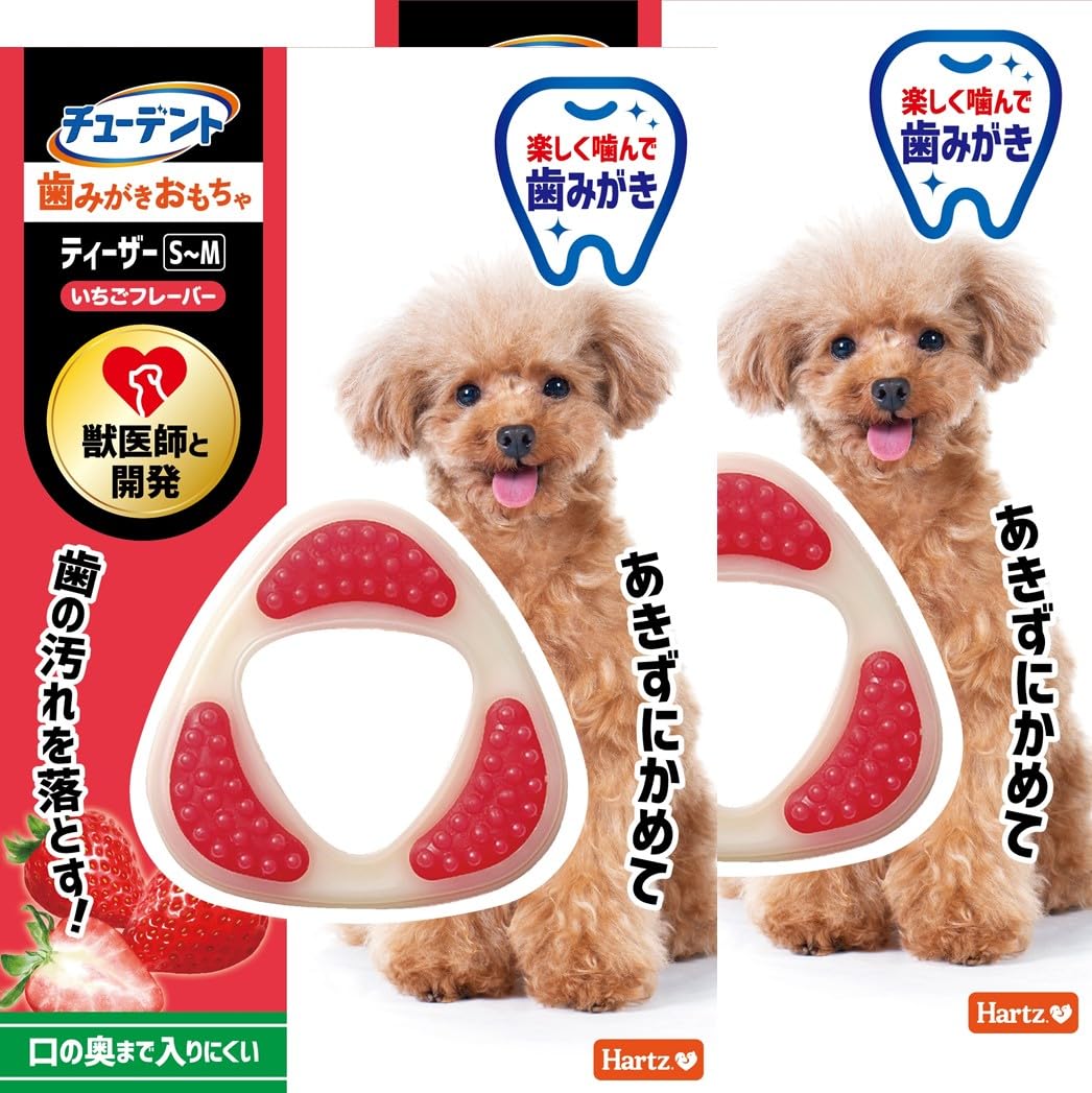 Amazon | ハーツ (Hartz) デンタルトイ ティーザー 犬用おもちゃ