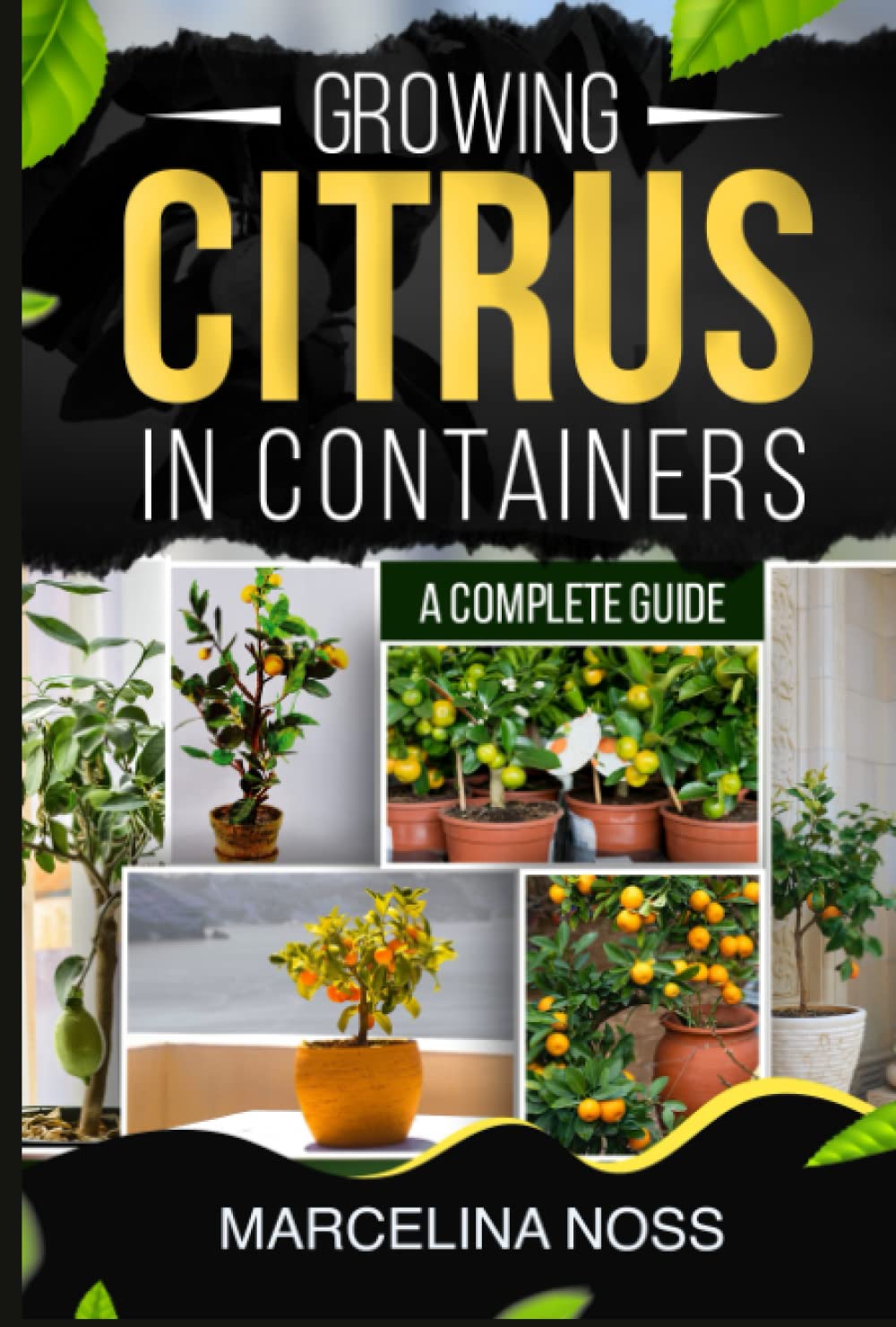GROWING CITRUS IN A CONTAINER: A COMPLETE GUIDE