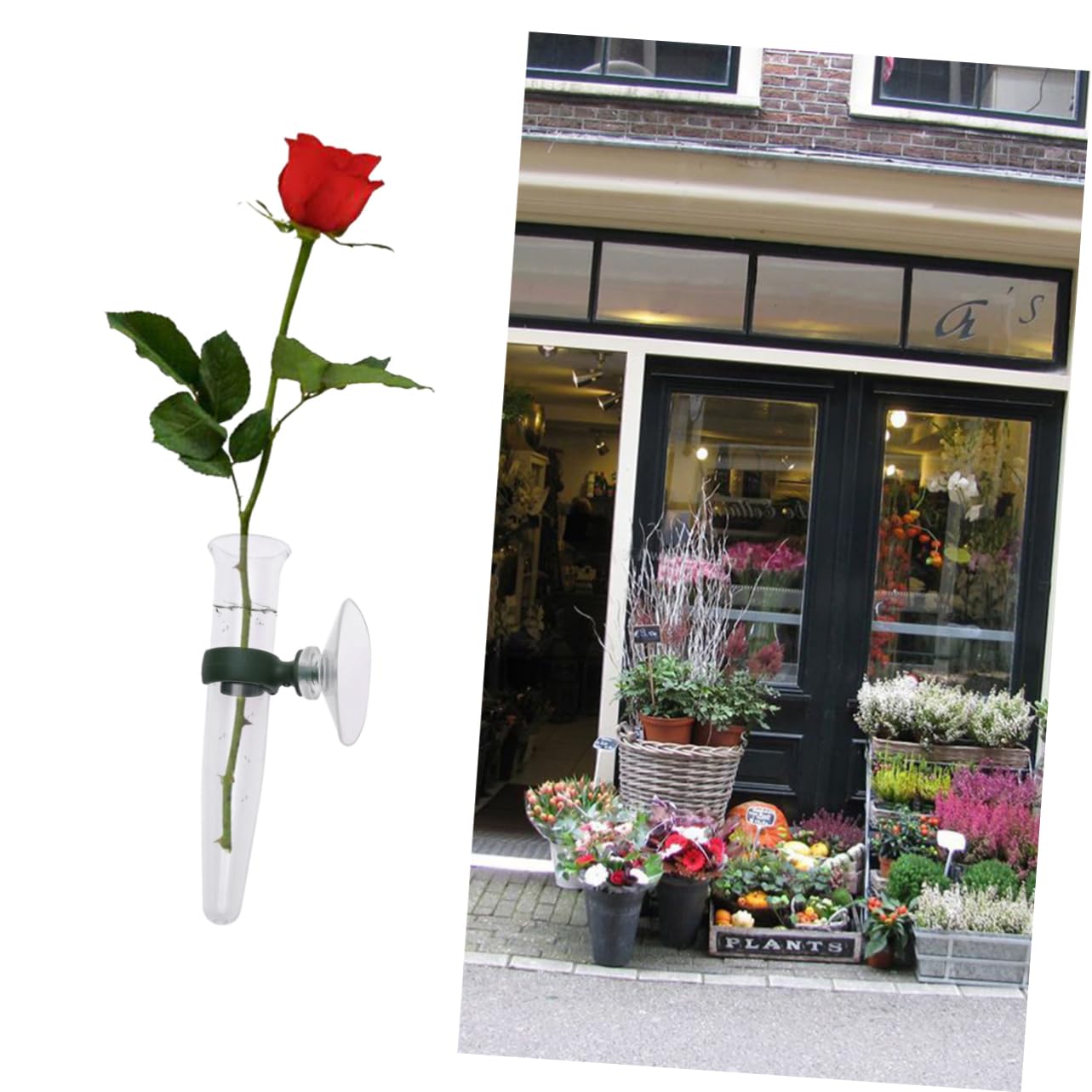 CIYODO 8Pcs Vaas Auto Decor Bloem Zuig Flesjes Cups Opslag Buis Voor Bloem Buis Bloemen Plant Sucker
