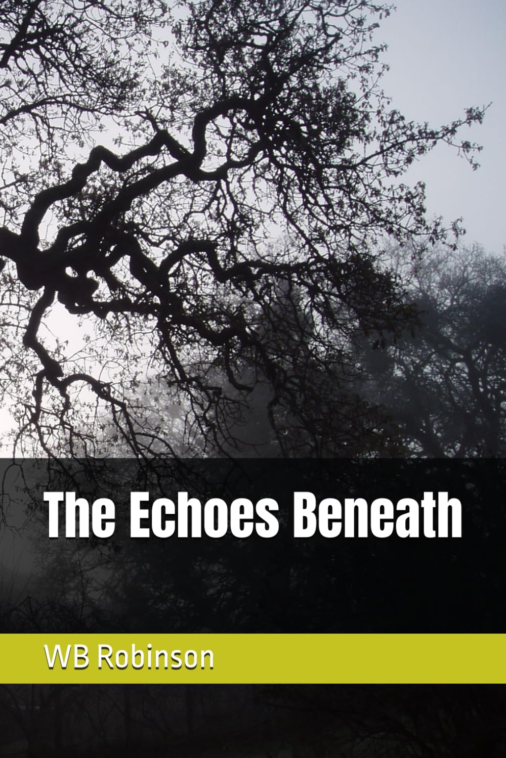 The Echoes Beneath