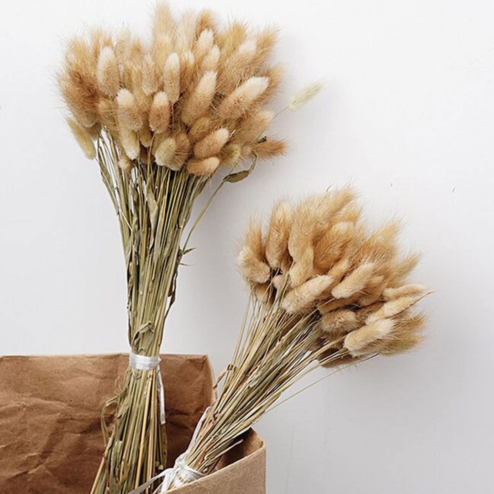 100 pièces Herbe de Pampa séchée de 50,8 cm de Haut. Herbe séchée de Fleur éternelle pour la décoration de la Maison de Mariage Arrangements Floraux Accessoires Photo, Couleur Primaire
