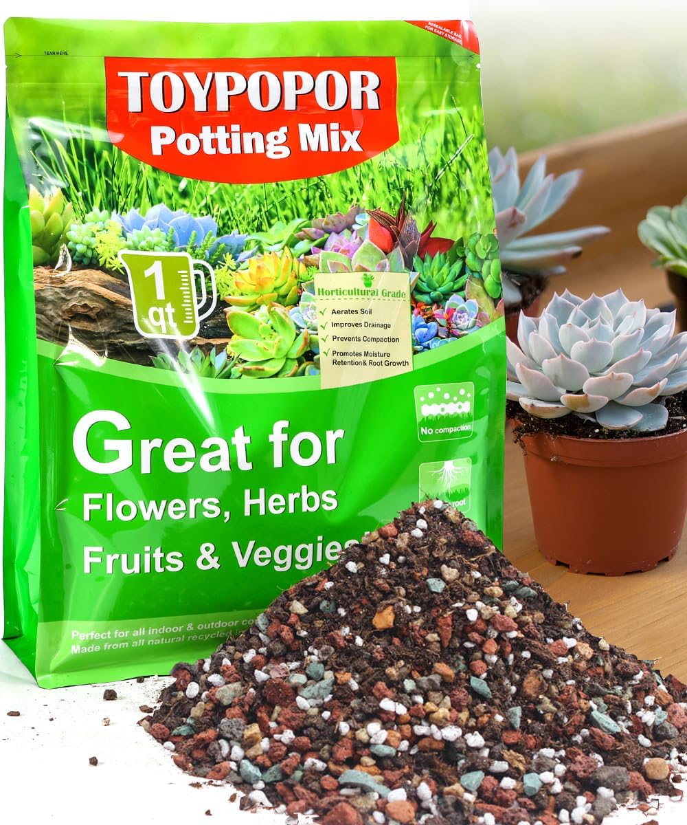 Succulent Soil, Cactus Potting Mix 2 Pounds/1 Quart, High Drainage, Pre-Mixed Ready to Use for All Succulent Varieties, Indoor Plants, Bonsai, Terrarium, Houseplant, 70% Particles 30% Soil