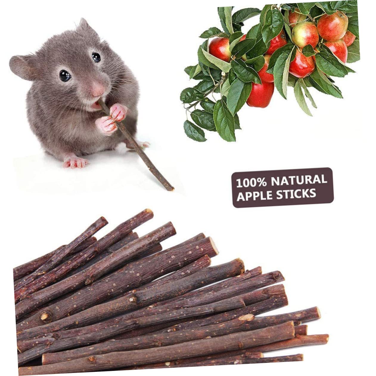 Angoily 2sätze Hamster Spielzeug Set Teilig Aus Holz Kauball Für Gesunde Zähne Lustiges Und Lehrreiches Spielzeug Für Hamster Und Kleintiere Für Käfige Und Beschäftigung