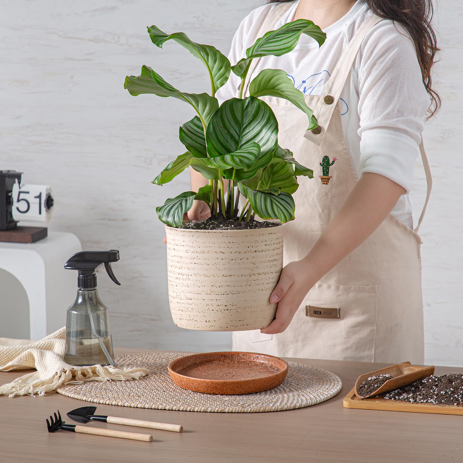 20,3 cm Blumentopf: Keramik-Übertopf mit Ablaufloch und Untersetzer, Blumentopf für Innen- und Außenpflanzen mit separatem Tablett für Zuhause und Büro, Pinselfarbe