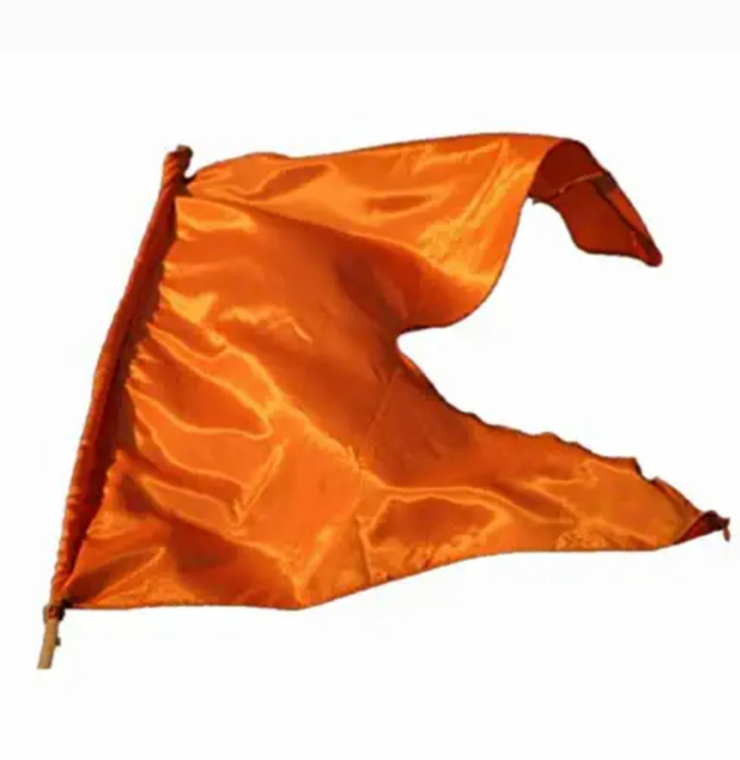 Bhagwa flag kesari orange (1.5 meter) (B0B1QHYHQ8) Amazon Price History, Amazon Price Tracker