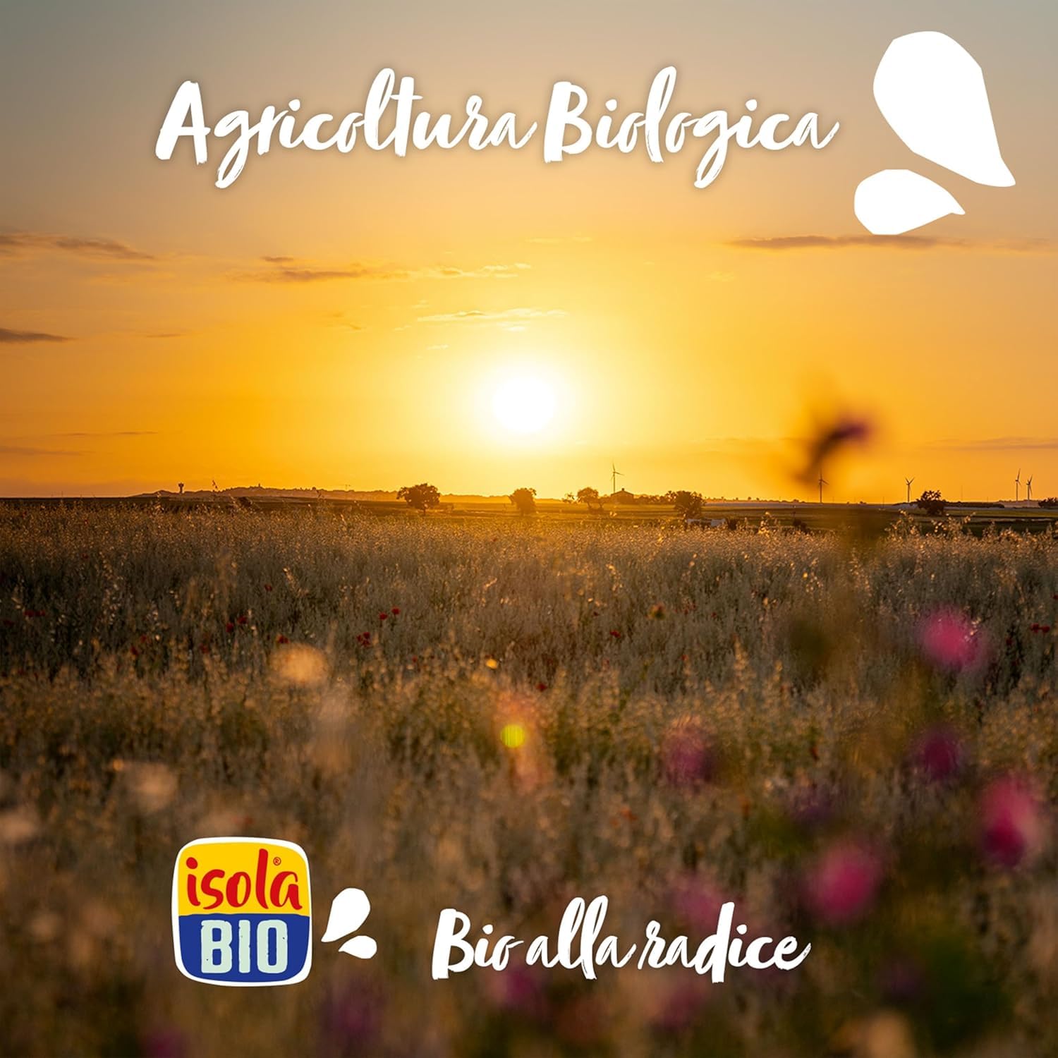 ISOLA BIO Bevanda Biologica a Base di Cocco e Mandorla, 100% Ingredienti Naturali, Senza Glutine, a Basso Contenuto di Grassi, per Intolleranti al Lattosio, Vegetariani e Vegani, 6 Confezioni da 1 L