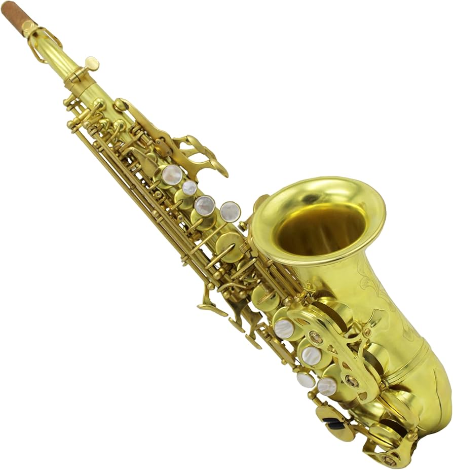 Amazon.com: Eastern Music Pro Curved Soprano Saxophone