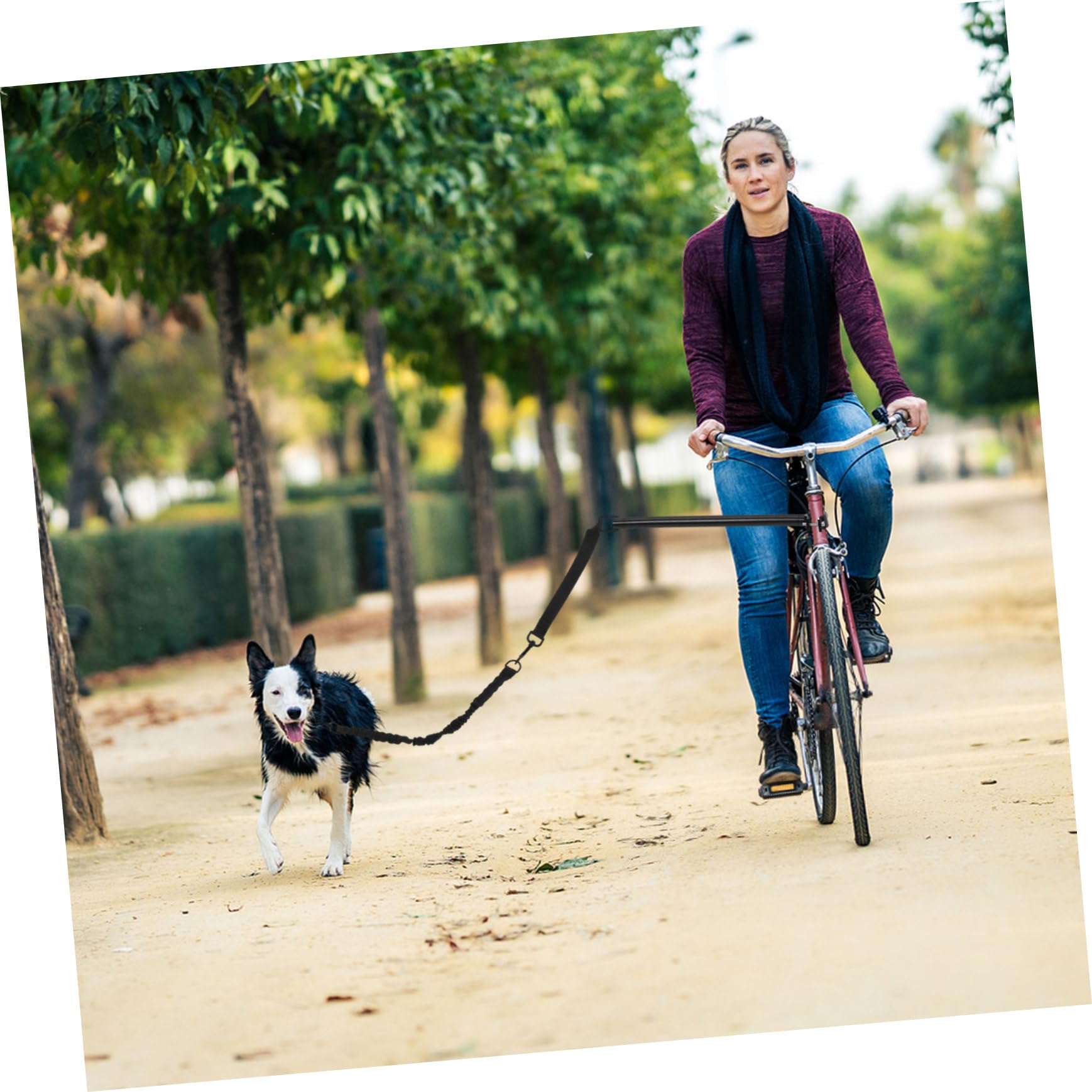 1ensemble Laisse De Vélo pour Chien Rétractable Ergonomique Laisse Résistante pour Activités Extérieures avec Confort Optimal pour Petits Et Chiens