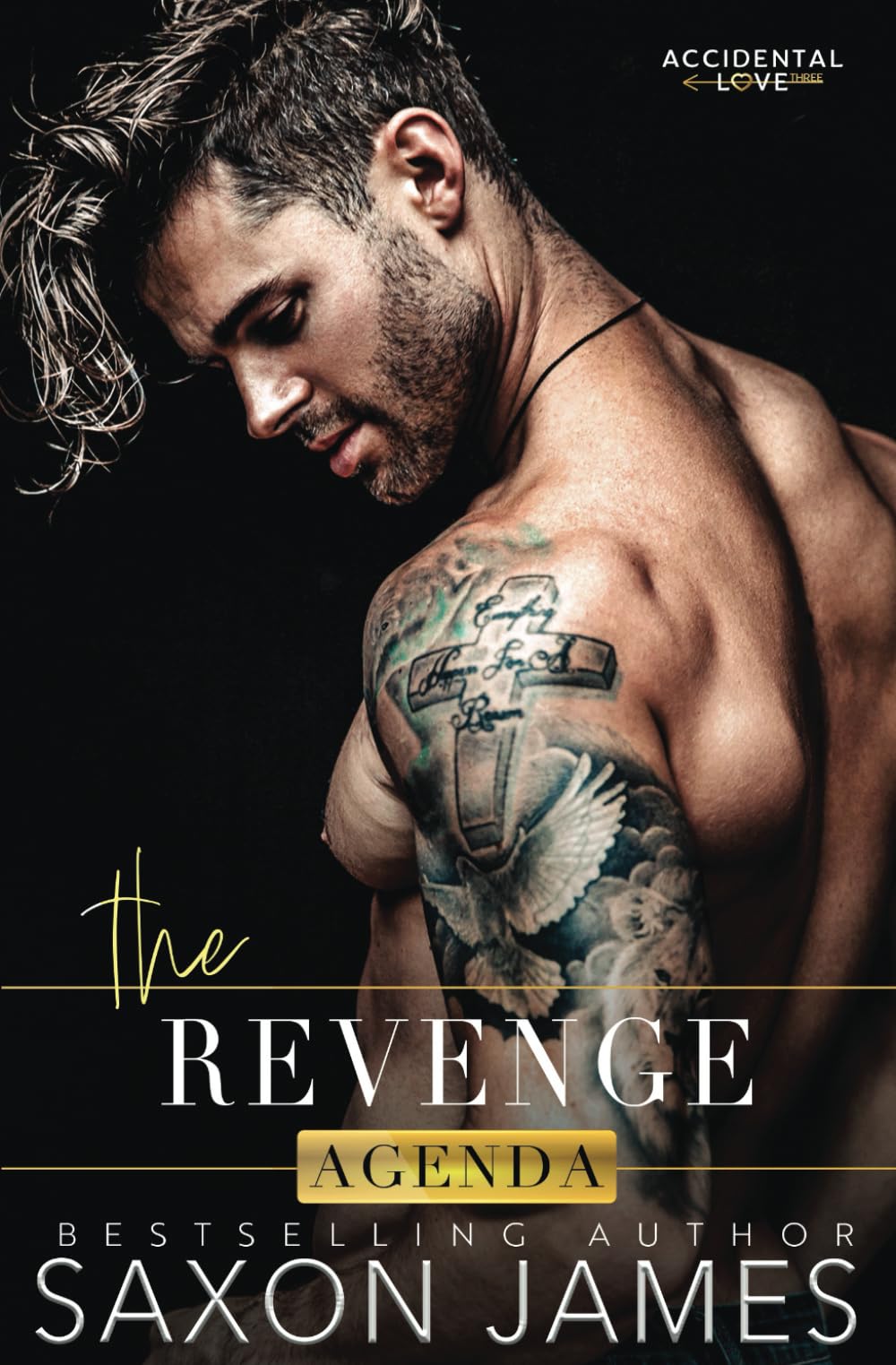 The Revenge Agenda (Accidental Love)