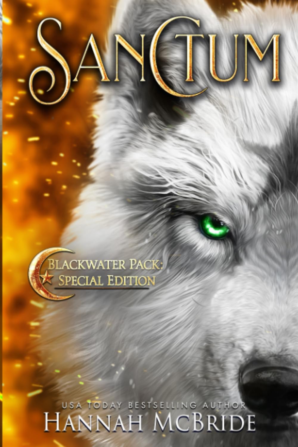 Sanctum: Special Edition (Blackwater Pack Series: Special Edition)
