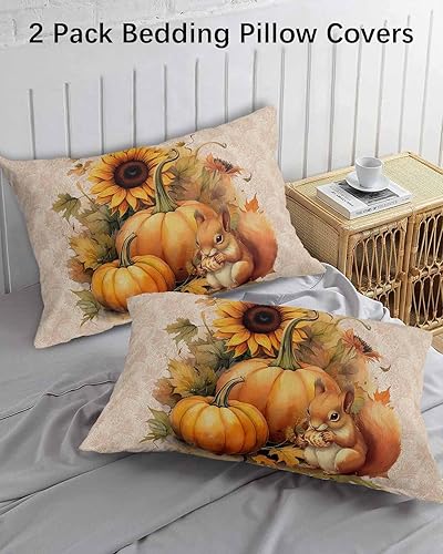 Miniatura 3 de Juego de 2 fundas de almohada estándar con diseño de calabaza y ardilla, fundas lumbares, transpirables, decorativas, con cierre de sobre, textura