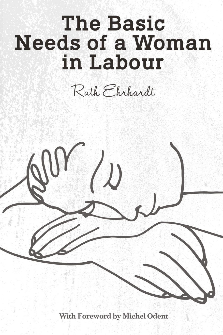 The Basic Needs of a Woman in Labour Paperback – October 11, 2011