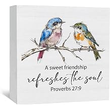 Christian Friendship Gifts for Women, a Sweet Friendship Refreshes the Soul Bird Wooden Box Signs, Best Friend Bestie BFF Gifts, Bible Verse Wood Sign Home Decor for Desk Table Shelf 5x5 Inch