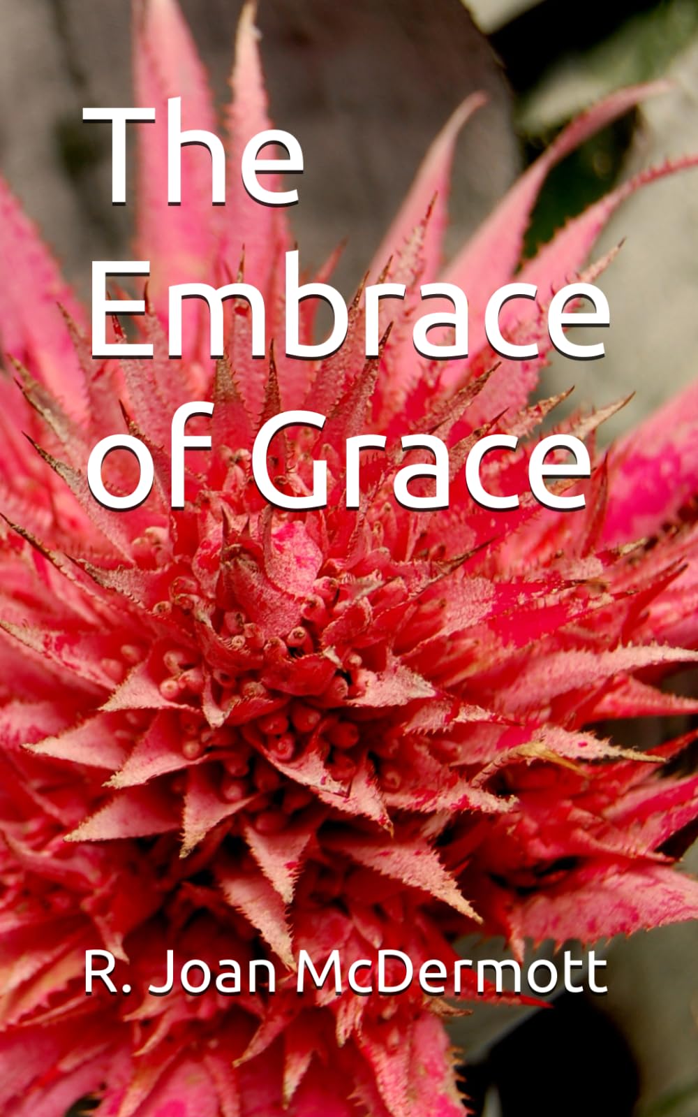 The Embrace of Grace