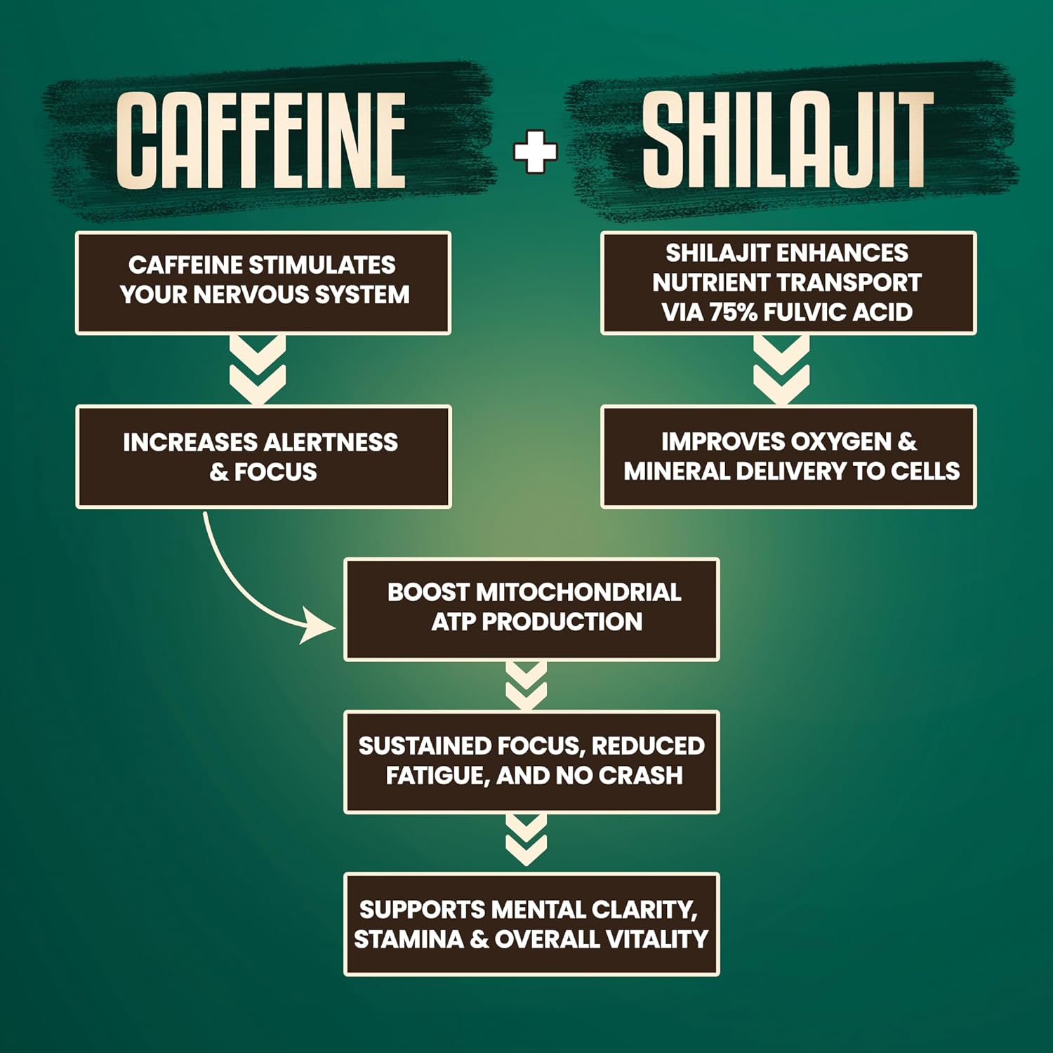 Bevzilla Instant Arabica Coffee Powder Sachets Infused with Original Himalayan Shilajit (125 mg per Sachet) – 75%+ Fulvic Acid & 85+Trace Minerals – Medium Roast, Daily Energy, Stamina & Vitality