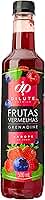 Dilute Xarope Frutas Vermelhas 500 Ml