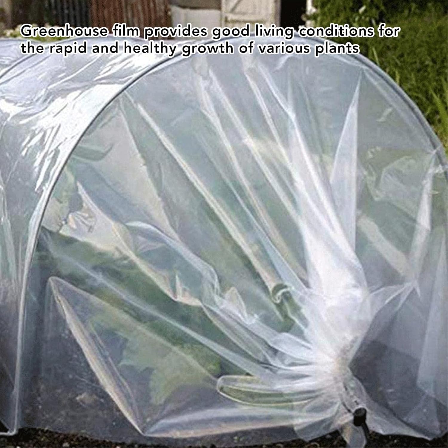 Greenhouse Film, Clear Greenhouse Plastic Sheeting, Foldable PE Plant Antifreeze Film for Garden Plant Outdoor (2 * 10m)