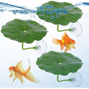 3 Pcs Betta Fish Leaf Hammock, Betta Fish Practical Resting Spot Bettas Suction Cup Tank Decor Green Hammock Plant Leaf Pad Fishes Breeding Resting Bed for Fishes Aquarium Decoration Ornaments