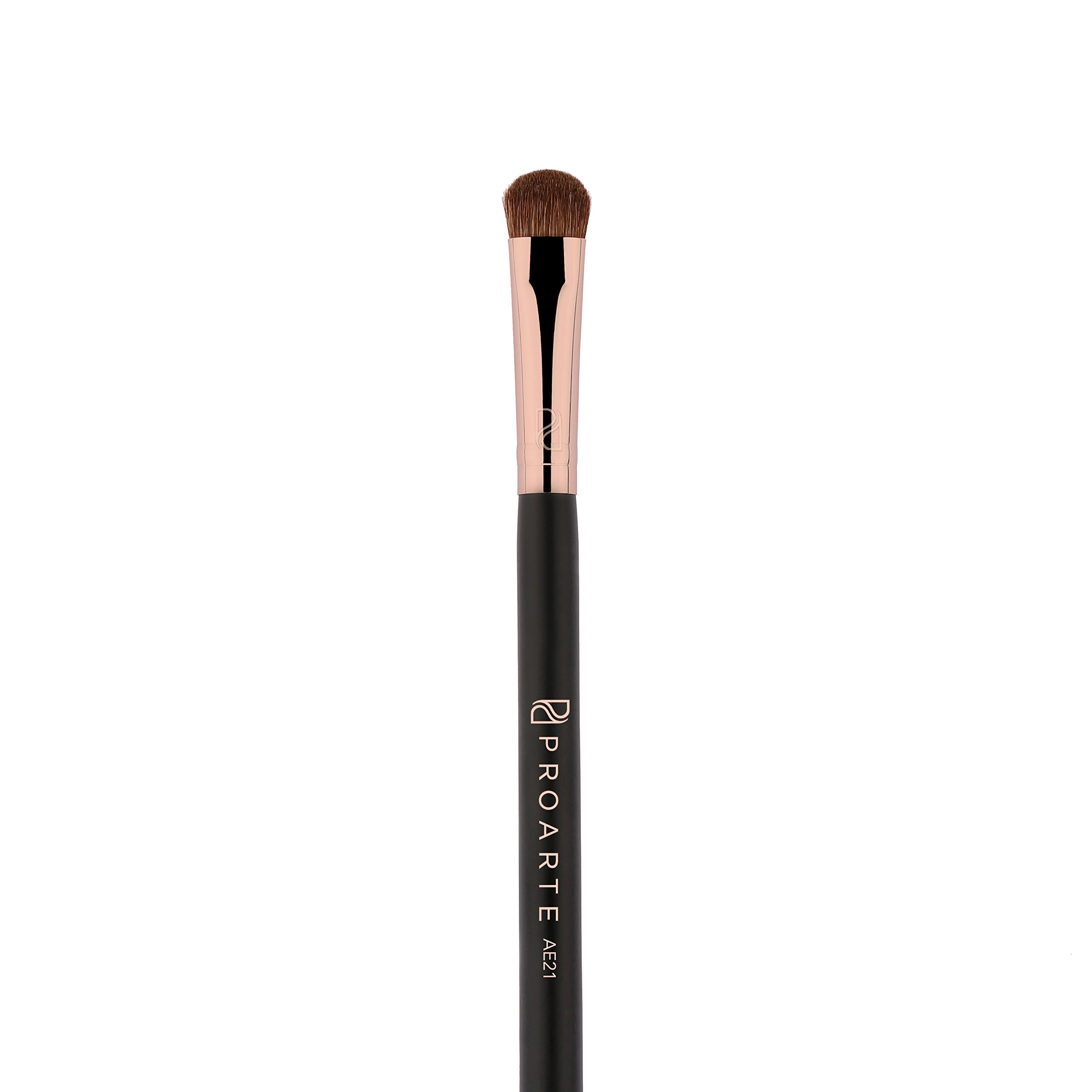 PROARTE Eyelid Applicator Brush, Black, 100 g