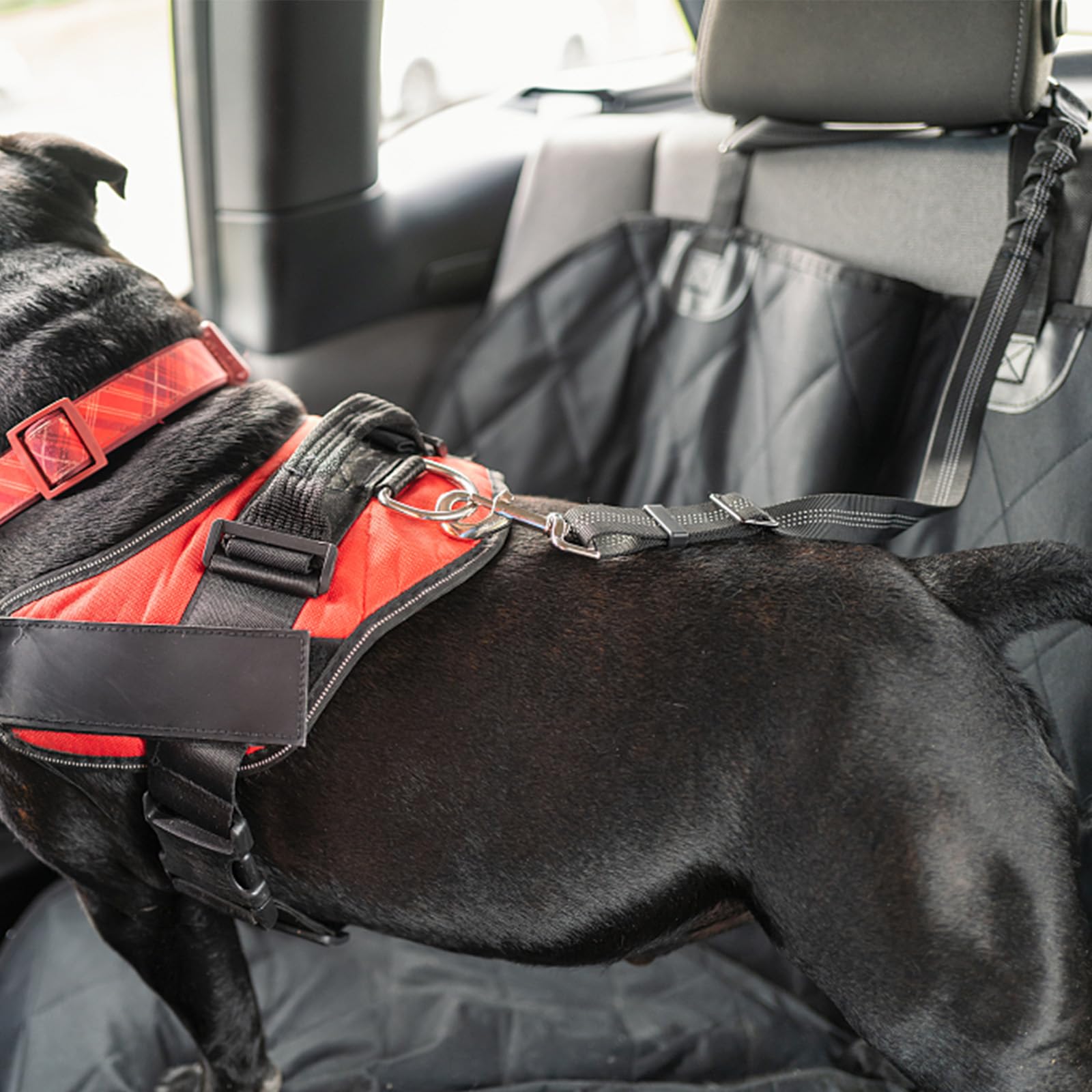 1Pièces Étirement Le Plus Long : 80 cm Ceinture Chien Voiture réglable avec,Attache Ceinture Chien Voiture,Laisse Voiture Chien,Harnais Voiture Chien en Elastique,pour Chiens et Chats-Noir
